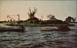 St. Clement's Island Postcard