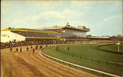 Pimlico Race Course Postcard