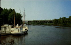 The Beautiful Pocomoke River Pocomoke City, MD Postcard Postcard