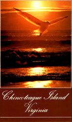 Greetings From Chincoteague Island Postcard