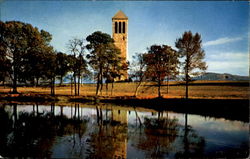 Luray Singing tower Postcard