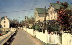 Street Scene In Quaint And Historic Tangier Island Postcard