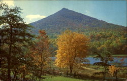 A View Of Peaks Of Otter Lake Postcard