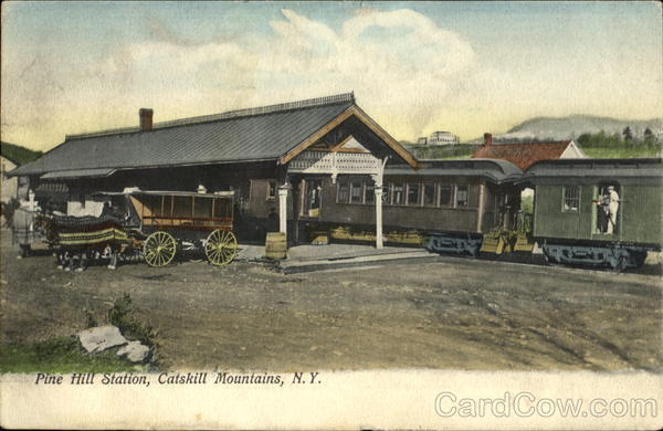 Pine Hill Station New York