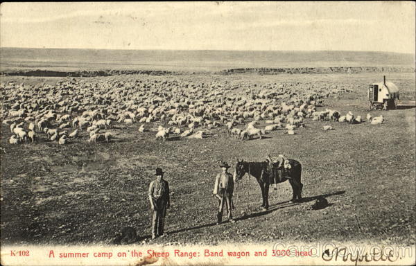 A Summer Camp On The Sheep Range Cowboy Western