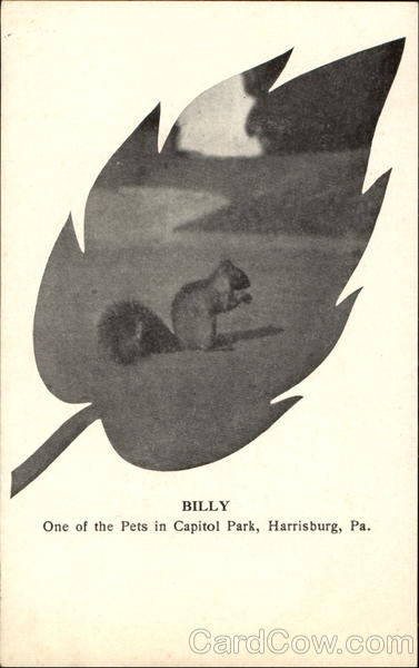 Billy, Capitol Park Harrisburg Pennsylvania