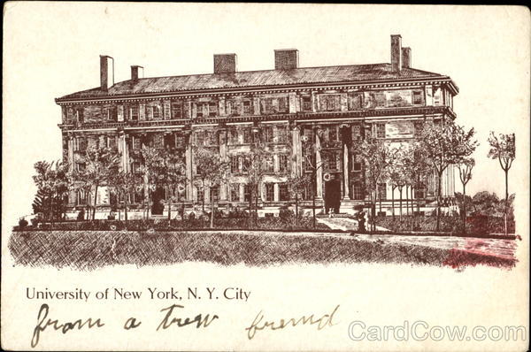 University Of New York New York City