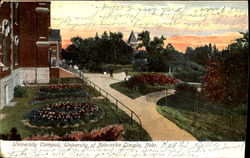 University Campus, University Of Nebraska Postcard