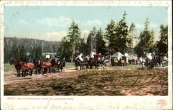 Wylie Permanent Camp, Yellowstone Park Postcard