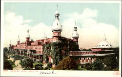 Tampa Bay Hotel Postcard