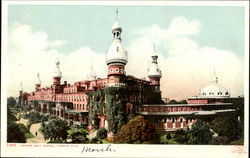 Tampa Bay Hotel Florida Postcard Postcard