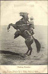 Pitching Broncho Cowboy Western Postcard Postcard