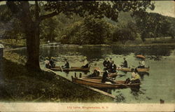 Lily Lake Binghamton, NY Postcard Postcard
