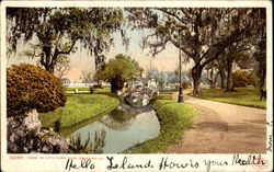 View In City Park Postcard