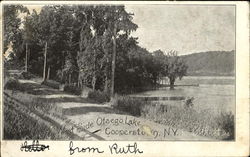 West Side Otsego Lake West Side Otsego Lake