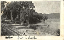 West Side Otsego Lake Cooperstown, NY Postcard Postcard