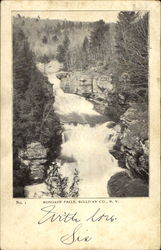 Mongaup Falls Postcard