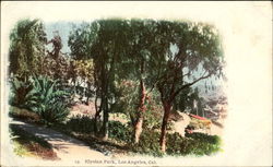 Elysian Park Los Angeles, CA Postcard Postcard