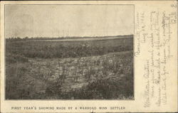 First Year's Showing Made By A Warroad Minn Settler Postcard