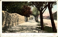 A Shaded Walk Postcard