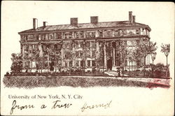 University Of New York Postcard