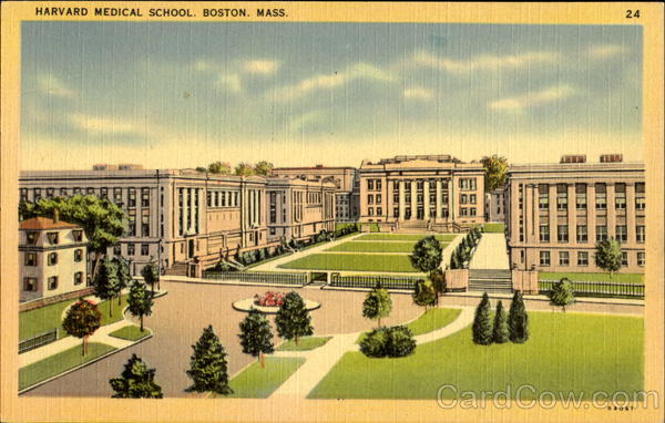 Harvard Medical School Boston Massachusetts
