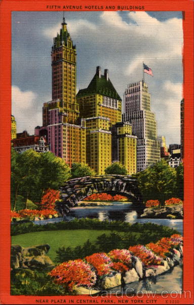 Fifth Avenue Hotels And Buildings, Central Park New York City