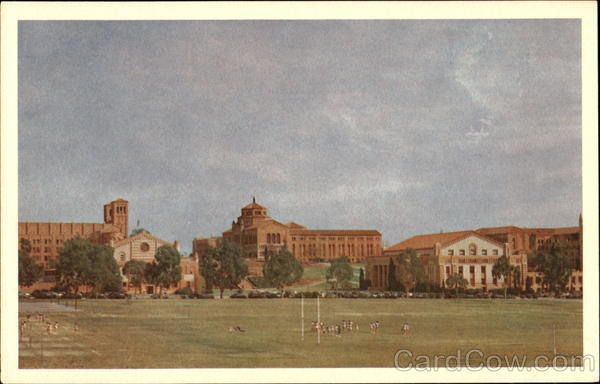 The University Of California Los Angeles
