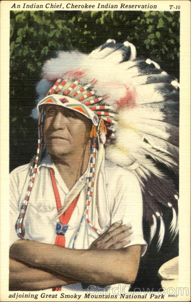 An Indian Chief Native Americana