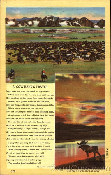 A Cow-Hand's Prayer Cowboy Western