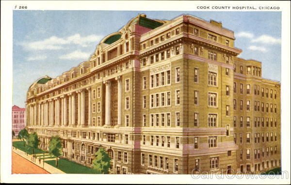 Cook County Hospital Chicago Illinois