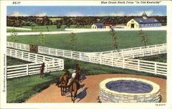 Blue Grass Stock Farm Nashville, TN Postcard Postcard