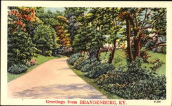 Greetings From Brandenburg Postcard