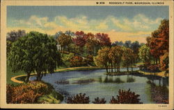 Roosevelt Park Waukegan, IL Postcard Postcard