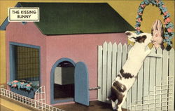 The Kissing Bunny Postcard Postcard