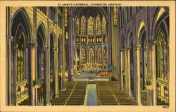 St. Mary's Cathedral Postcard