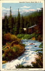 Spearfish Canyon South Dakota Postcard Postcard