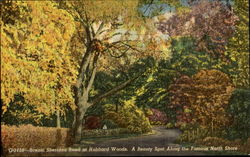 Scenic Sheridan Road At Hubbard Woods Illinois Postcard Postcard