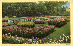 Perennial Garden, Elizabeth Park Hartford, CT Postcard 