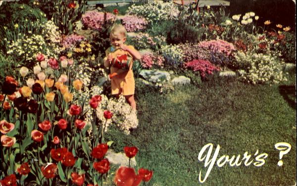Giver Your Garden A Dutch Treat New Jersey Advertising