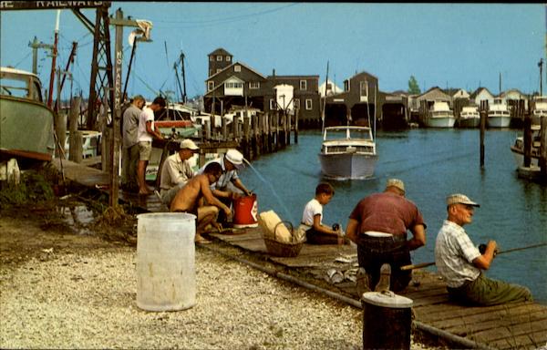 Party Boat Fishing Cape May Harbor New Jersey