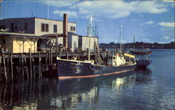 Fishing Boats, Portland Harbor Maine Postcard Postcard