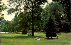A View Of The Grace Lord Park Postcard