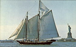 The 102 Schooner Pioneer Postcard