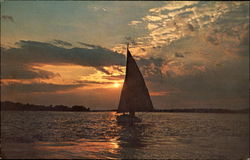 Sailing Home At Sundown New Jersey Sailboats Postcard Postcard