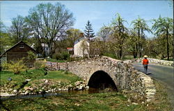 A Hunterdon County Portrait Postcard