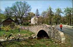 A Hunterdon County Portrait Mountainville, NJ Postcard Postcard