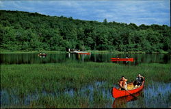 Canoeing At Camp Wapalanne Postcard