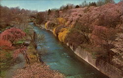 Branch Rook Park Belleville, NJ Postcard Postcard