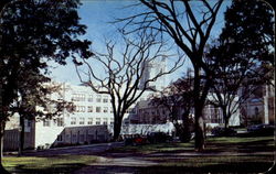The Harvey S. Firestone Memorial Library, Princeton University Postcard